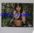 直筆サイン入ポラロイド写真 2 [直筆サイン入生写真類]