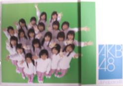 AKB48 ミニパンフレット [その他のパンフレット]