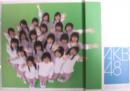AKB48 ミニパンフレット [その他のパンフレット]