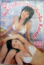 ヤングチャンピオン 2004 YC No.17・18・19 応募者全員サービス オリジナルDVD [DVD]