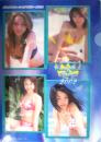 ビジュアルクイーンオブザイヤー2002 [クリアファイル]
