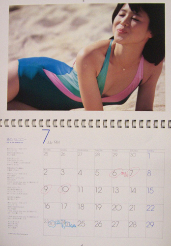 松田聖子 CBS/SONY 1984年カレンダー カレンダー