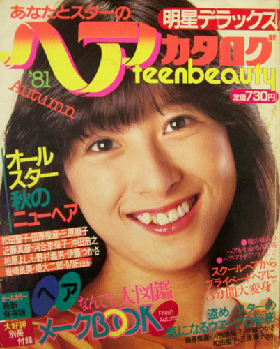 明星デラックス あなたとスターのヘアカタログ (81秋/明星ヘアカタログ) 雑誌