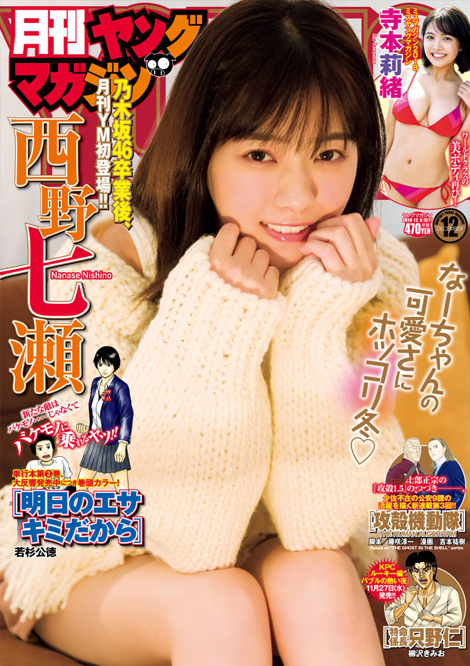  月刊ヤングマガジン 2019年12月号 (No.12) 雑誌