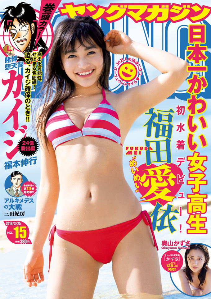  週刊ヤングマガジン 2019年3月25日号 (No.15) 雑誌