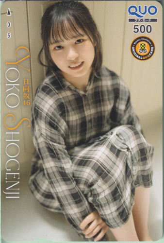 正源司陽子 週刊少年チャンピオン 2024年10月3日号 (No.42) クオカード