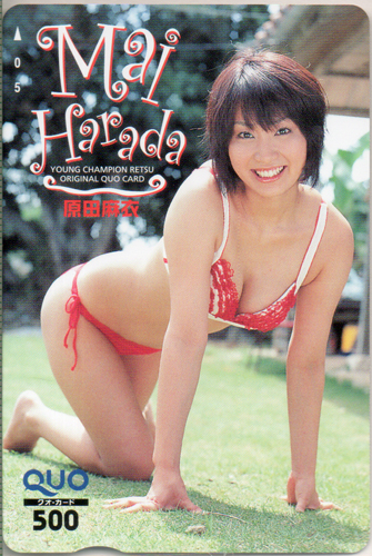 原田麻衣 ヤングチャンピオン烈 クオカード