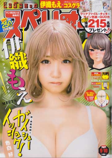 2025年最新】Yahoo!オークション -小向美奈子(男性コミック誌)の