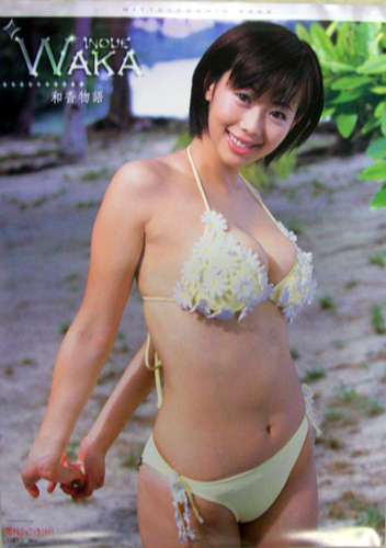 井上和香 DVD「和香物語 日テレジェニック2003」 ポスター