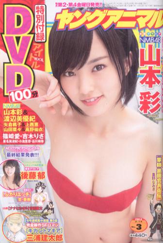  ヤングアニマル 2014年2月14日号 (No.3) 雑誌
