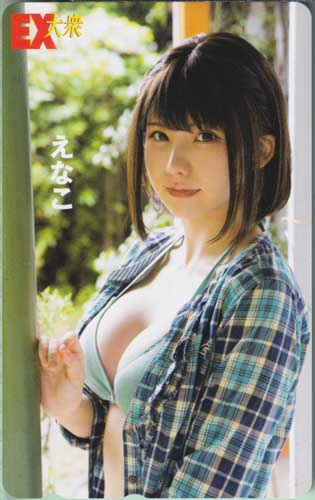 えなこ EX大衆 テレカ