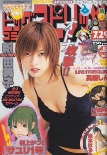  ビッグコミックスピリッツ 2002年7月29日号 (NO.33) 雑誌