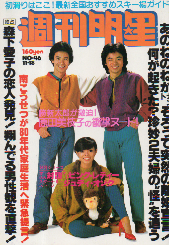 週刊明星 1979年11月18日号 (通巻1099号) 雑誌