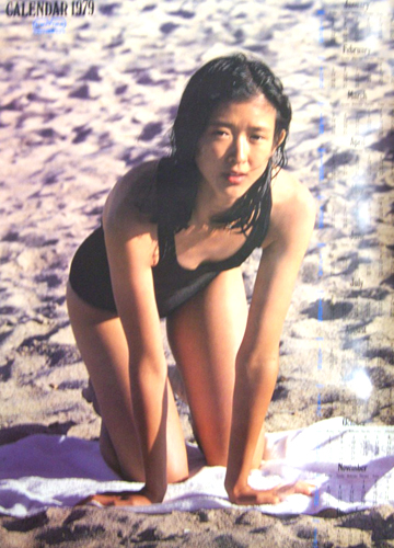 紺野美沙子 ユニチカ 1979年カレンダー カレンダー