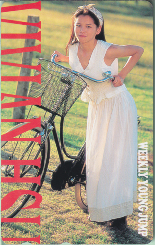 ビビアン・スー 週刊ヤングジャンプ テレカ