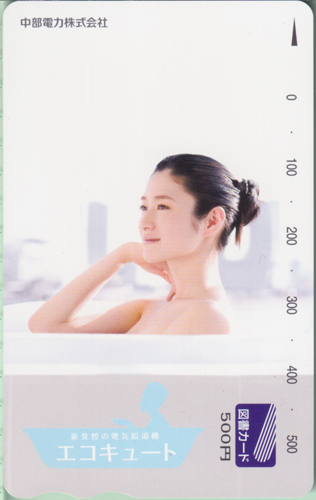 小雪 中部電力 エコキュート 図書カード