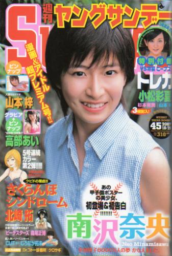  週刊ヤングサンデー 2007年10月25日号 (No.45) 雑誌