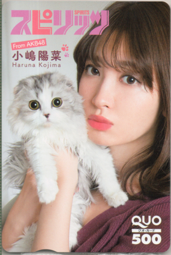 小嶋陽菜 ビッグコミックスピリッツ 2017年1月16日号 (No.4・5) クオカード