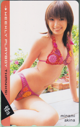 南明奈 週刊プレイボーイ テレカ