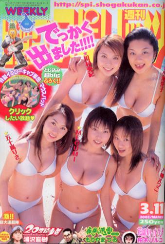  ビッグコミックスピリッツ 2002年3月11日号 (NO.13) 雑誌