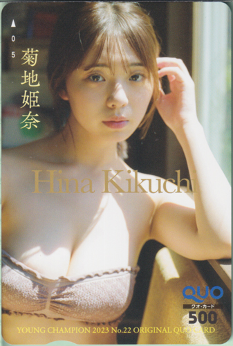 菊地姫奈 ヤングチャンピオン 2023年11月14日号 (No.22) クオカード