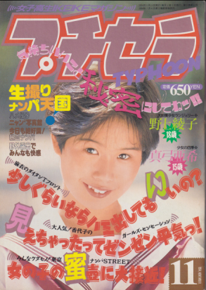  プチセラTYPHOON 1994年11月号 雑誌