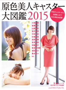 皆藤愛子 原色美人キャスター大図鑑 2015 直筆サイン入り写真集