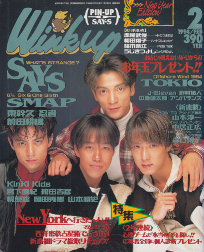  ウインク・アップ/Wink up 1994年2月号 雑誌