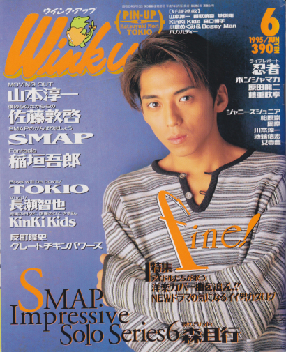 ウインク・アップ/Wink up 1995年6月号 雑誌
