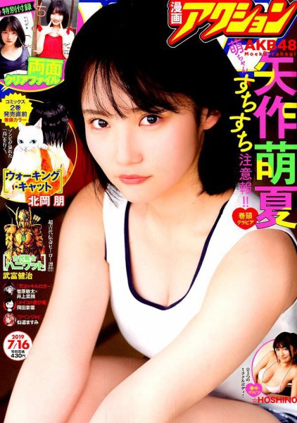  漫画アクション 2019年7月16日号 (No.14) 雑誌