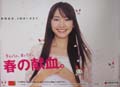 新垣結衣 赤十字 春の献血 キャンペーン ポスター