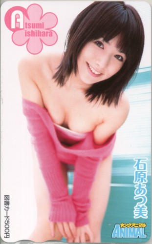 石原あつ美 ヤングアニマル 図書カード