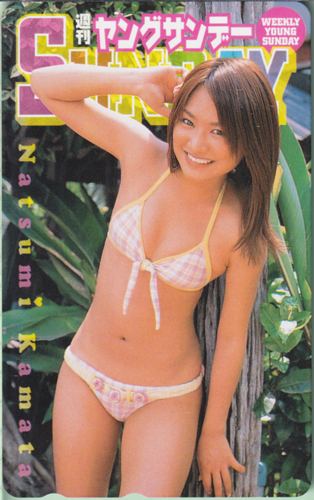 鎌田奈津美 週刊ヤングサンデー テレカ