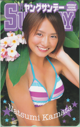 鎌田奈津美 週刊ヤングサンデー テレカ