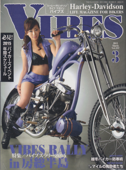  バイブス/VIBES 2015年3月号 (Vol.257) 雑誌
