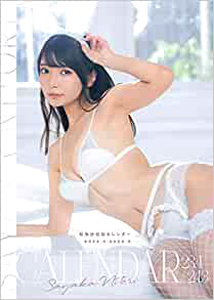 似鳥沙也加 2023年カレンダー 「Sayaka Nitori CALENDAR 2023.4-2024.4」 カレンダー