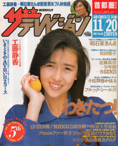  週刊ザテレビジョン 1987年11月20日号 (No.46) 雑誌