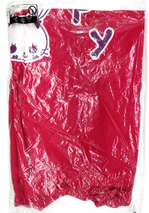 石川梨華 「ドリーム モーニング娘。スペシャルLIVE 2012 」Tシャツ その他のグッズ