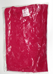 石川梨華 Tシャツ その他のグッズ