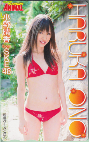 小野晴香 ヤングアニマル 図書カード