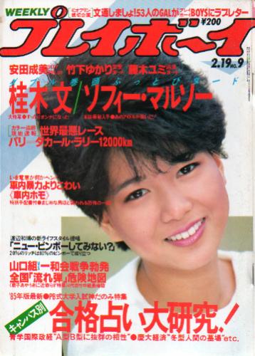  週刊プレイボーイ 1985年2月19日号 (No.9) 雑誌