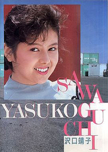 沢口靖子 SAWAGUCHI YASUKO PRIVATE ALBUM その他のパンフレット