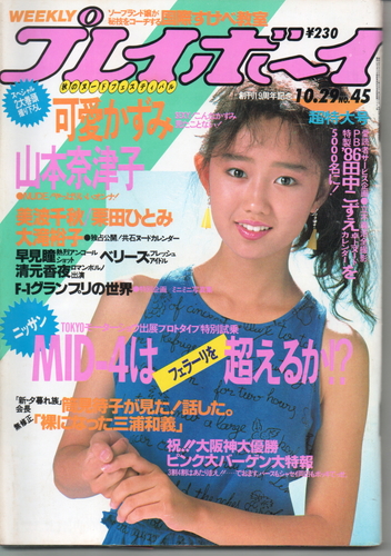  週刊プレイボーイ 1985年10月29日号 (No.45) 雑誌