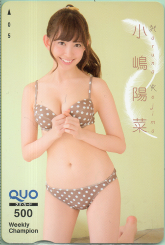 小嶋陽菜 週刊少年チャンピオン クオカード