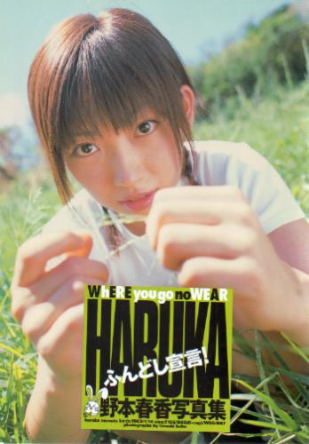 野本春香 HARUKA Where you go no WEAR ふんどし宣言! 写真集