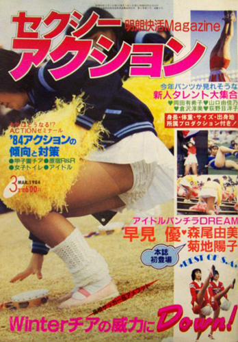  セクシーアクション 1984年3月号 雑誌