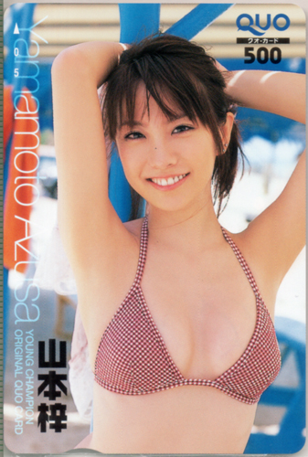 山本梓 ヤングチャンピオン クオカード