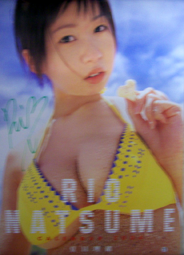 夏目理緒 2004年カレンダー 直筆サイン入り カレンダー