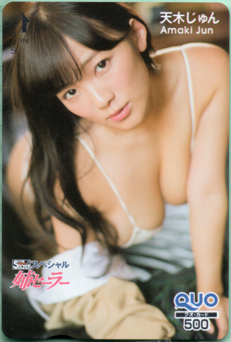 天木じゅん アサ芸Secret!スペシャル 姉セーラー クオカード