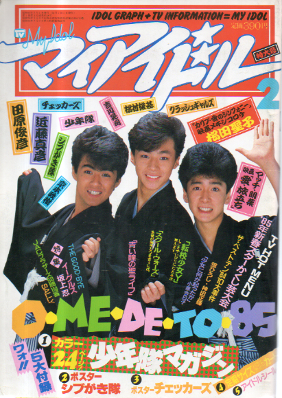 マイアイドル 1985年2月号 (5巻 2号) 雑誌